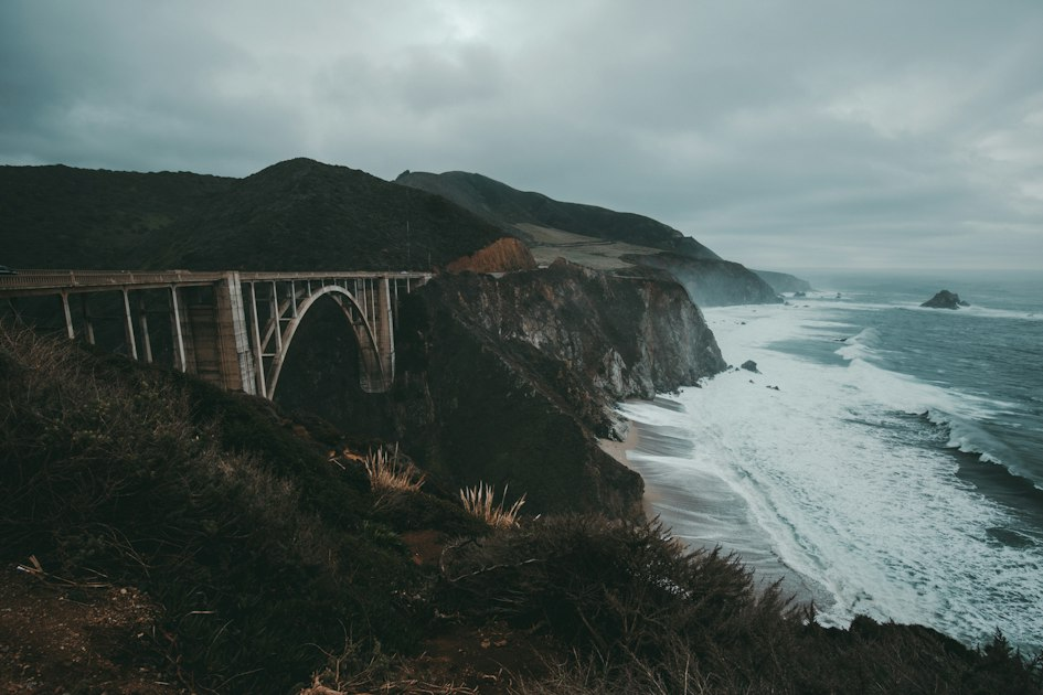 Wildlife Watching in Big Sur