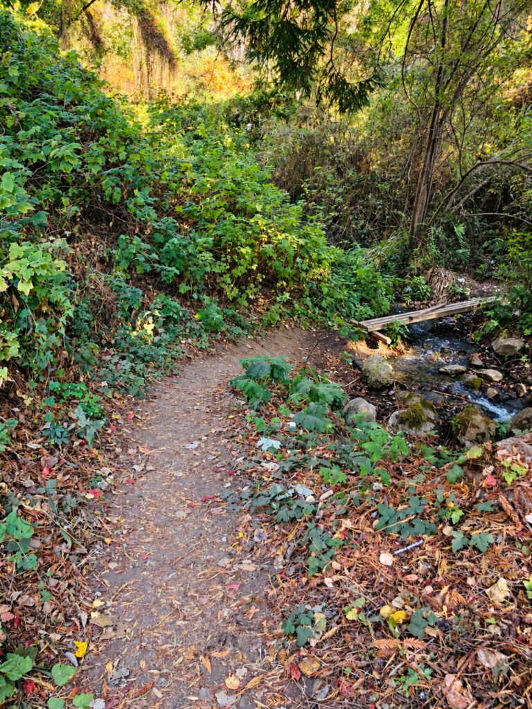 Big Sur Hiking Trail