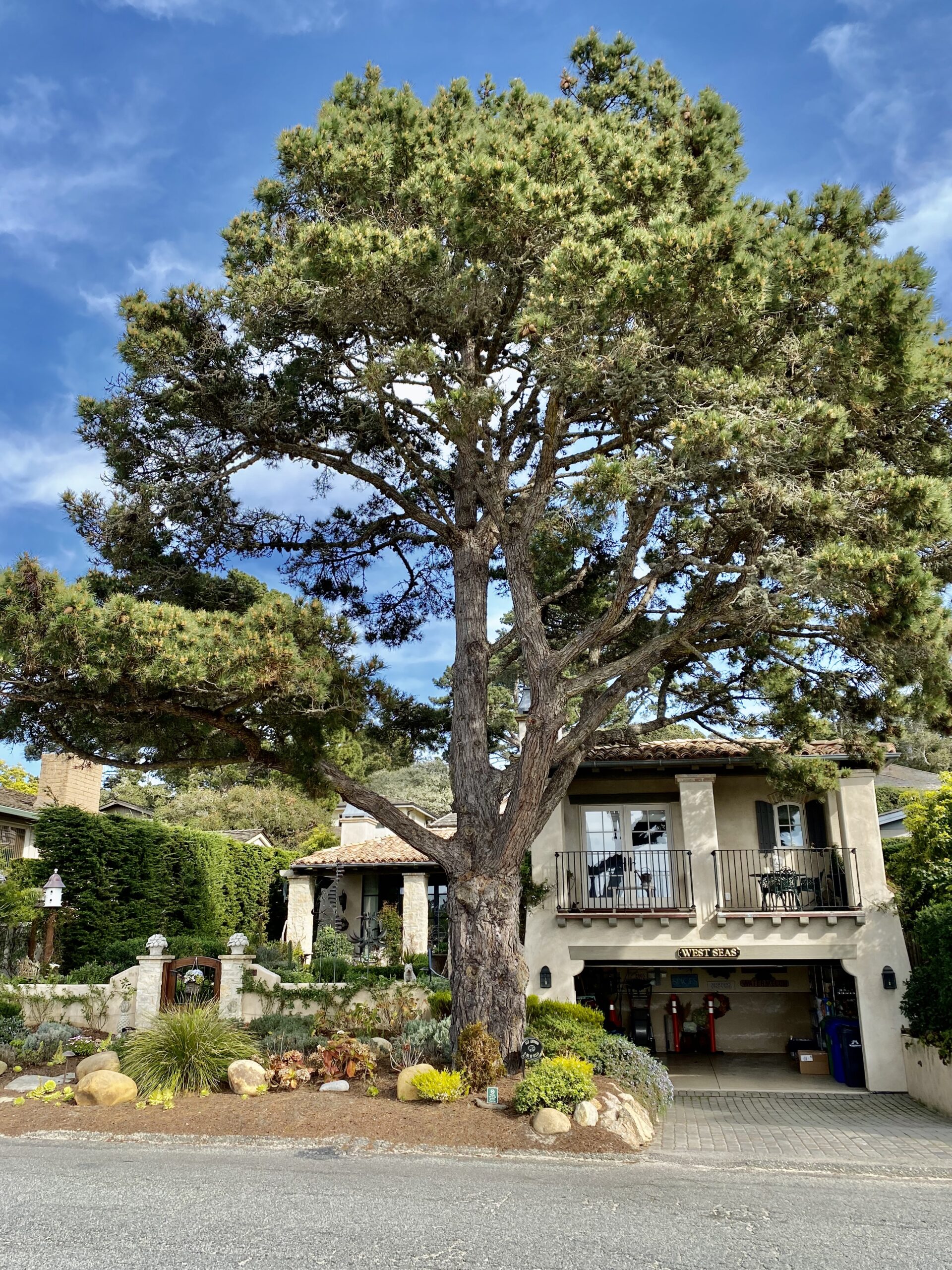 Vacation Rental Carmel